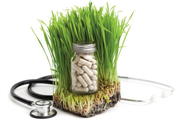 medicina holistica, ce e medicina holistica, beneficii medicina holistica